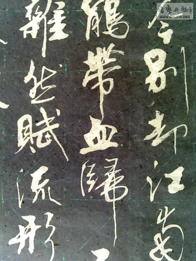 20101226425-.JPG