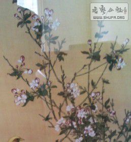 335A4B35-006D-4BBC-8775-DB9C2975F79F.jpg