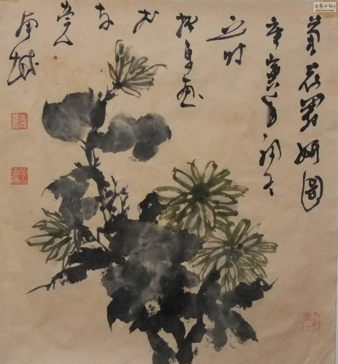 DSCF4714.jpg