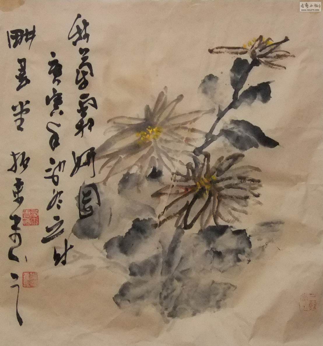 DSCF4727.jpg