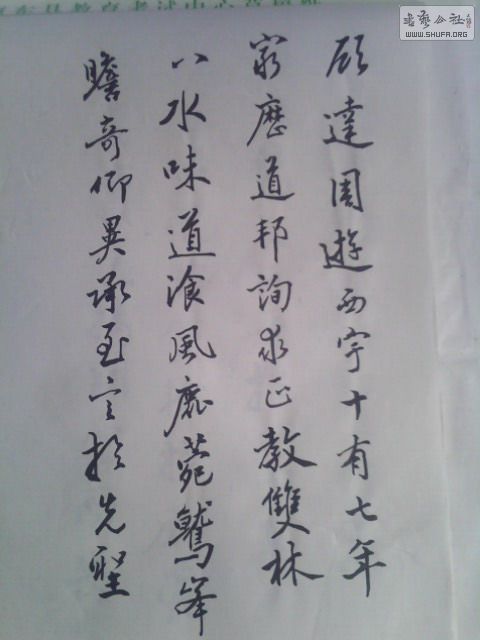IMG0234A.jpg