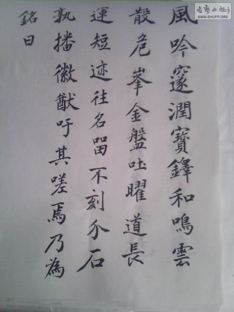IMG0236A.jpg
