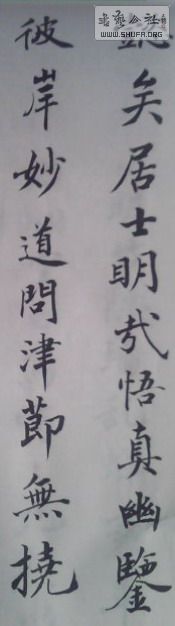 IMG0237A.jpg