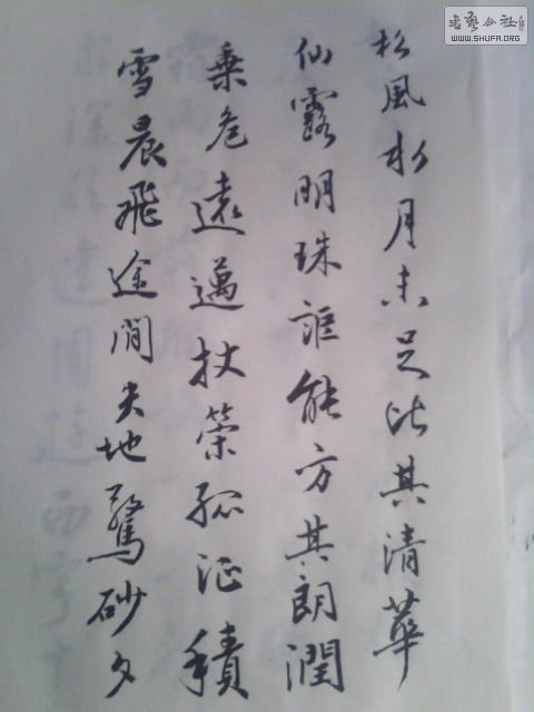 IMG0231A.jpg