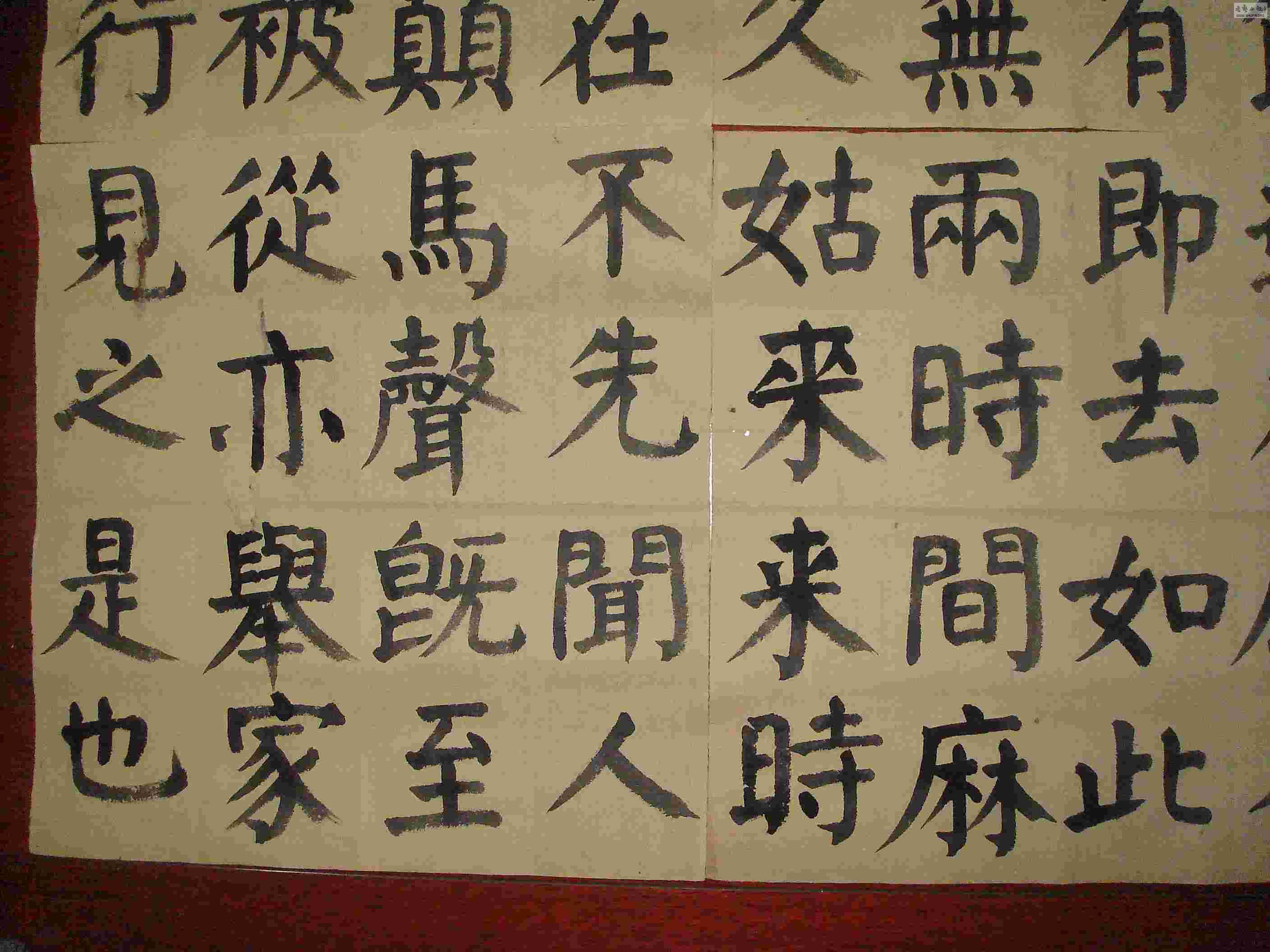 DSC03535.jpg