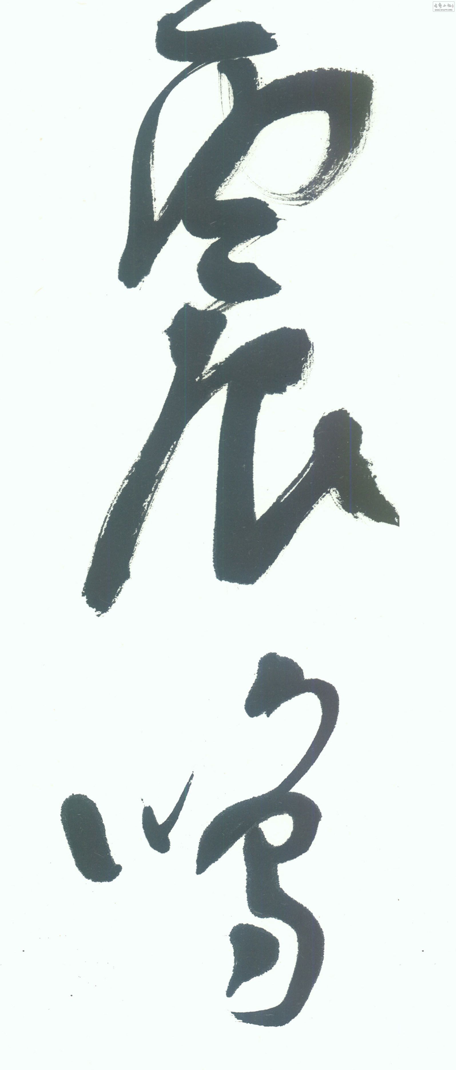 2010.8ֲ.jpg