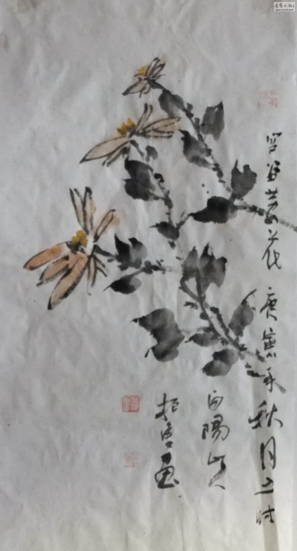 DSCF4827.jpg