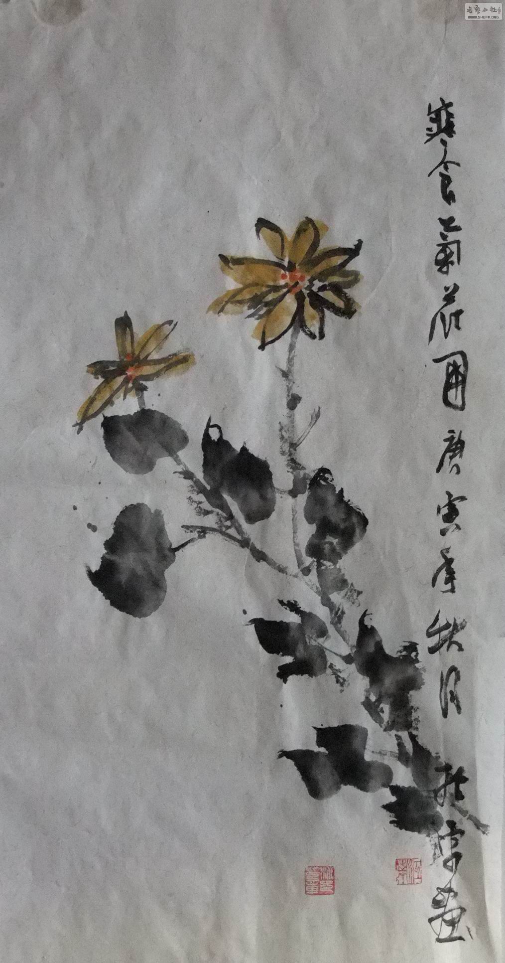 DSCF4825.jpg