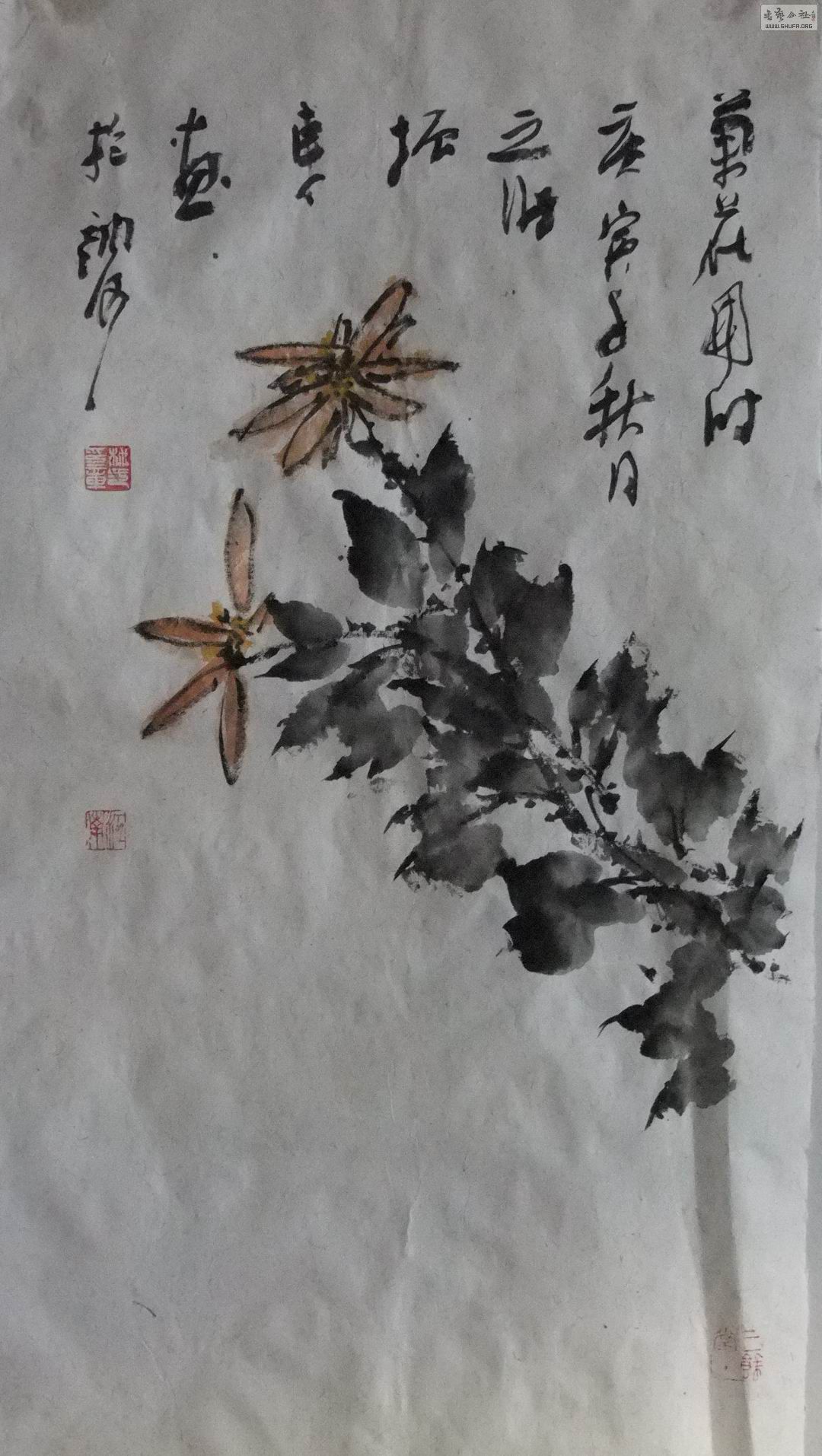 DSCF4826.jpg
