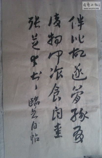 IMAG0053.jpg