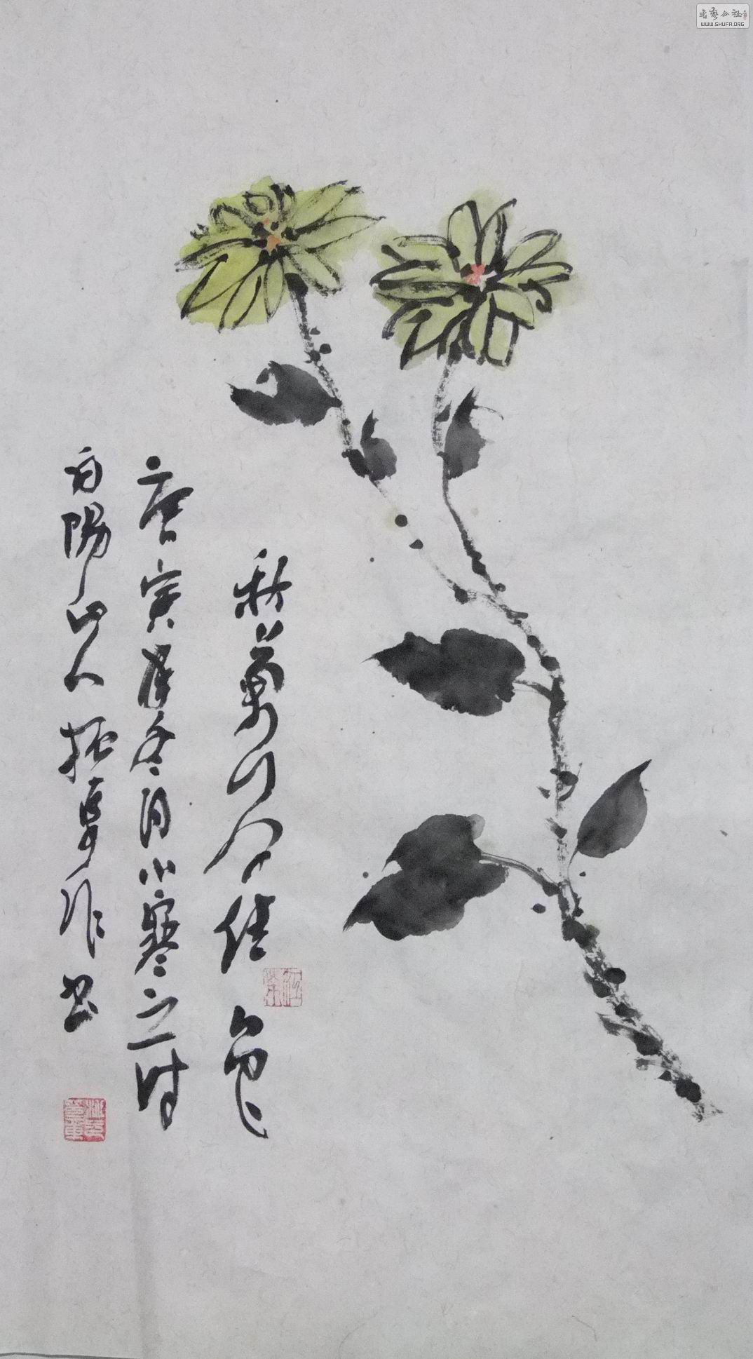 DSCF4897.jpg