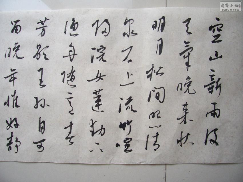 100_4854.JPG