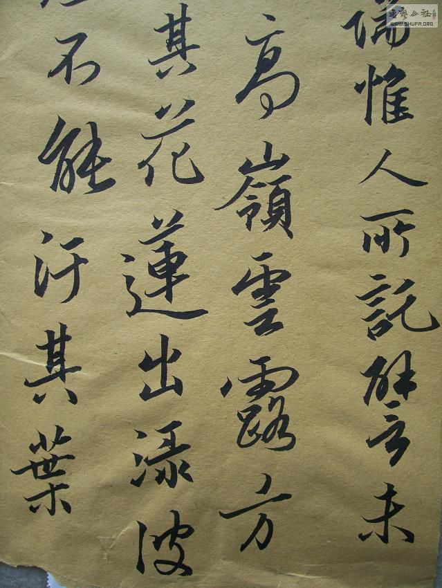 100_4839.JPG