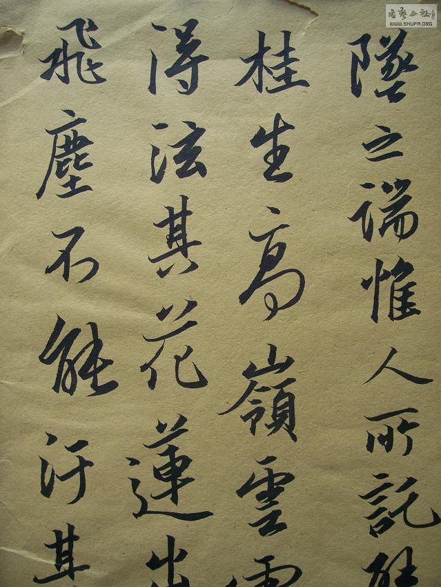 100_4838.JPG