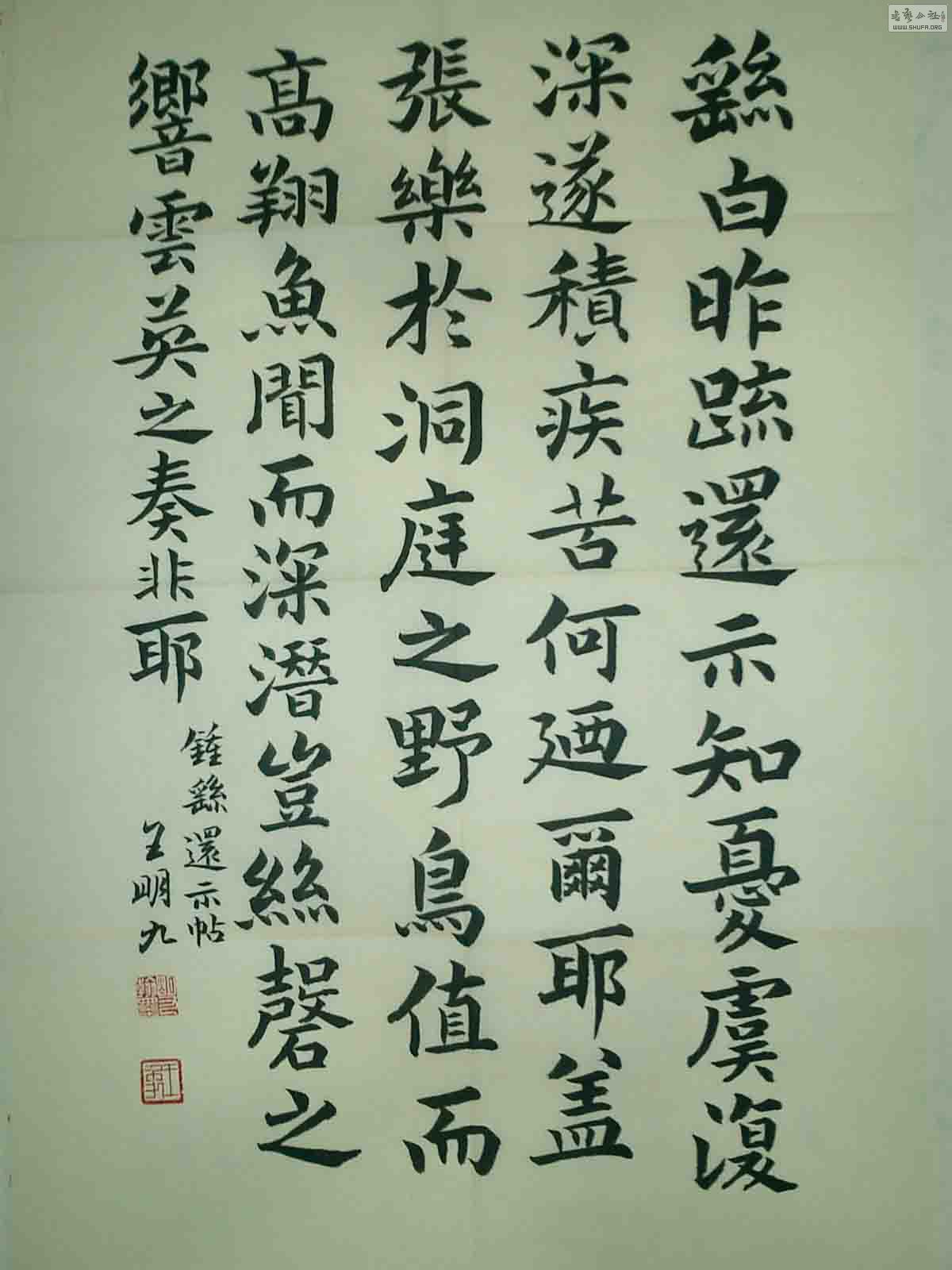 CIMG0025.jpg