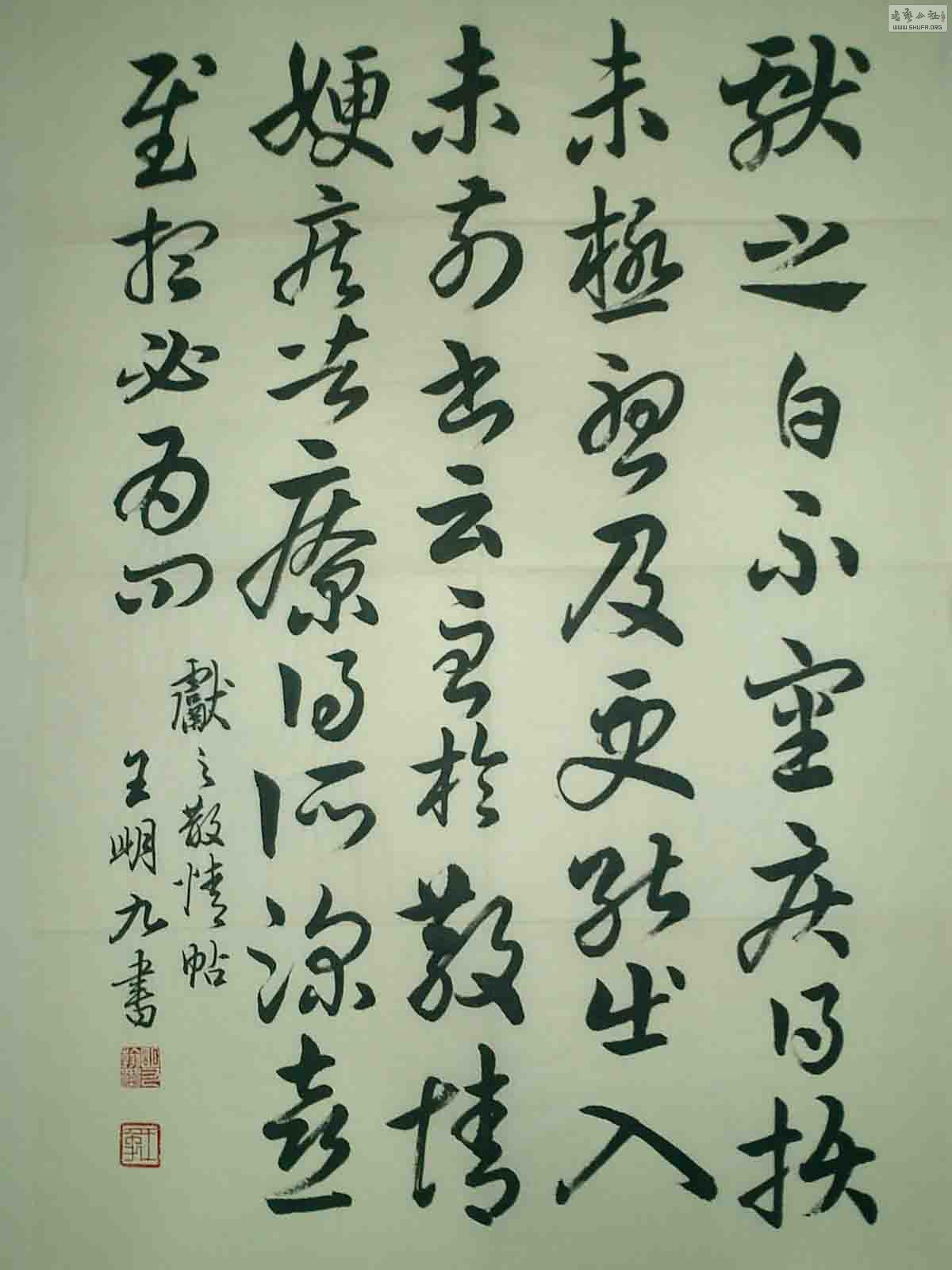 CIMG0041.jpg