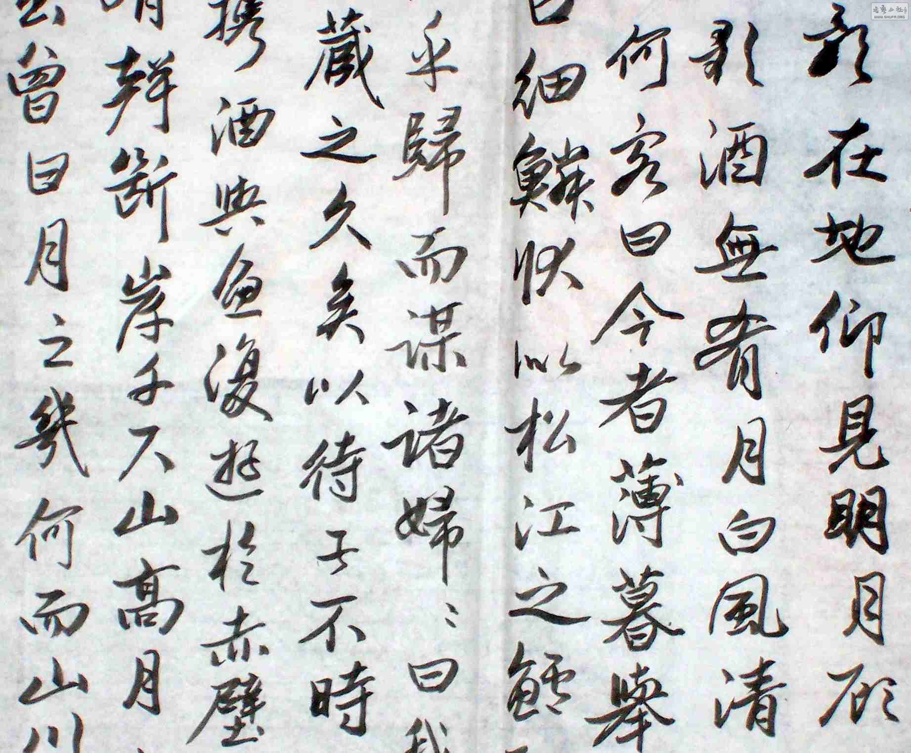 Ƭ2 1073.jpg