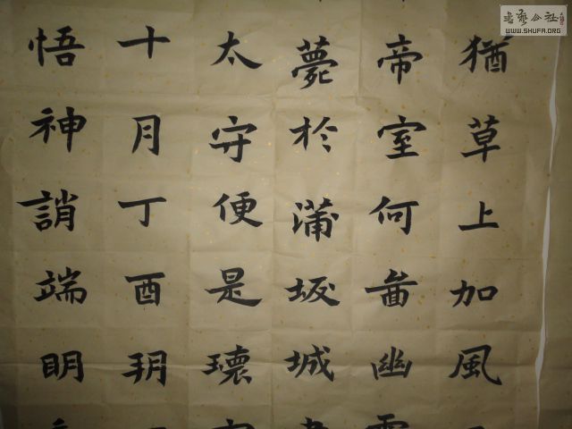 DSC02954.JPG