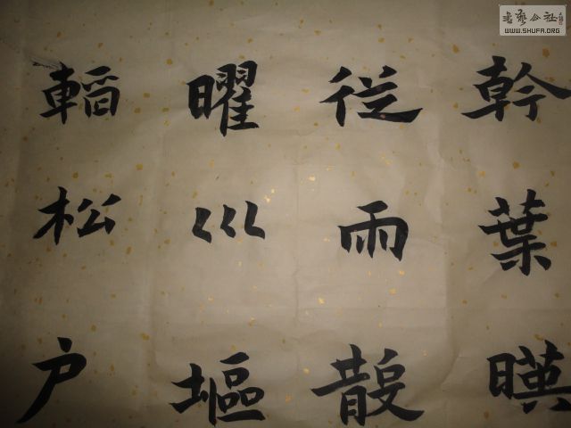 DSC02961.JPG