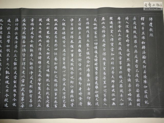 DSC03000.JPG