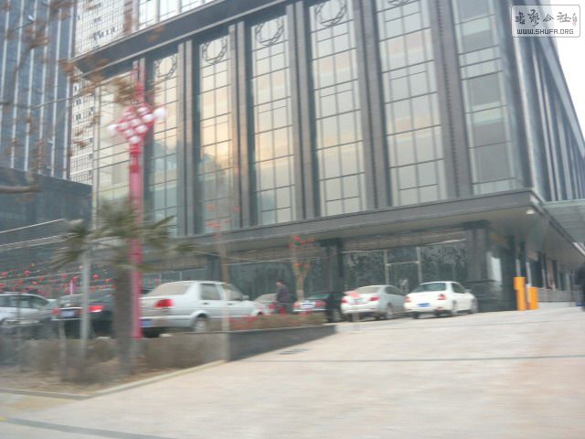 P1150753.jpg