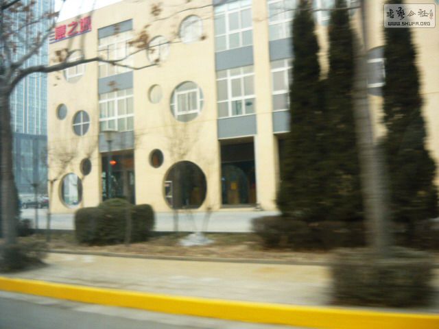 P1150749.jpg