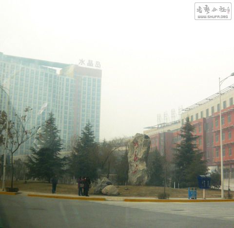 P1150758.jpg