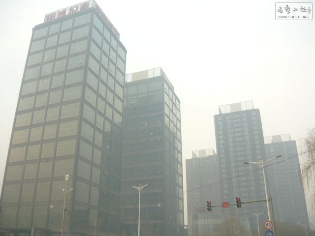 P1150757.JPG