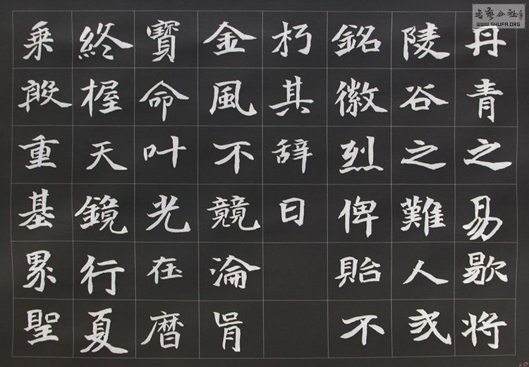 2010.12.1-7ϰ 010.jpg