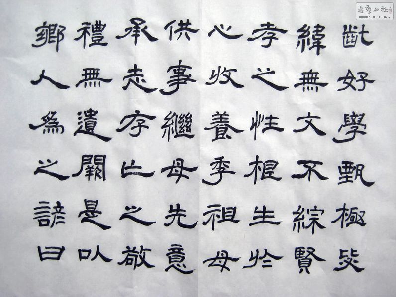 2011_02160007.JPG