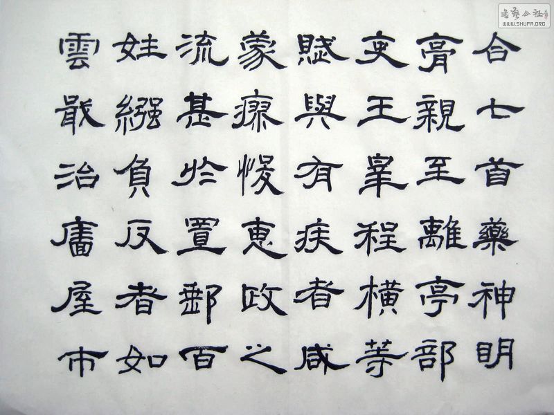 2011_02160015.JPG