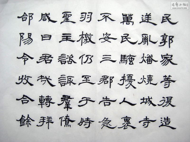 2011_02160013.JPG