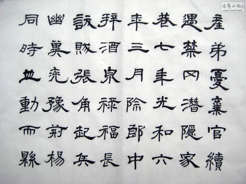 2011_02160012.JPG