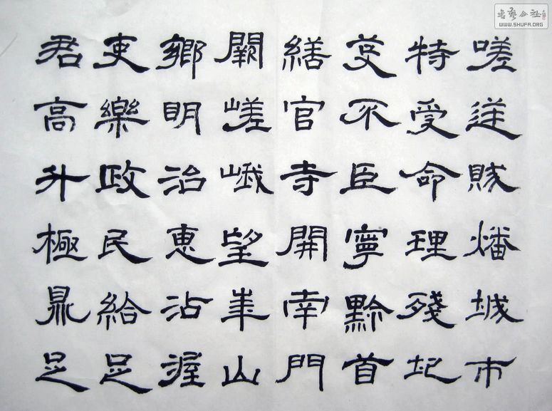 2011_02160020.JPG