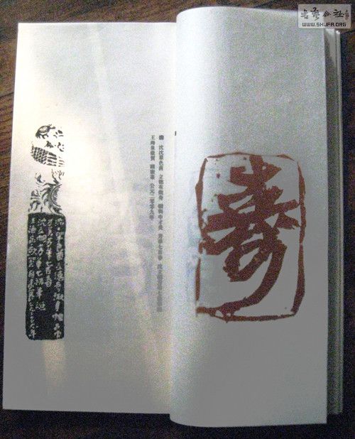 2013390508413281010.jpg