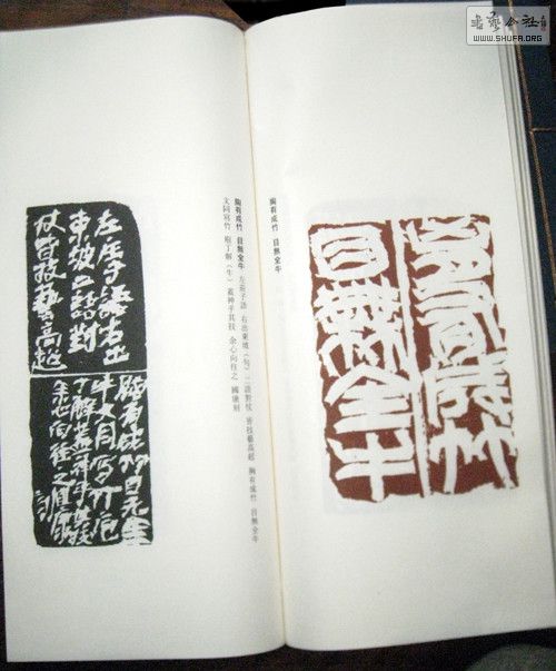 2074470578359309329.jpg