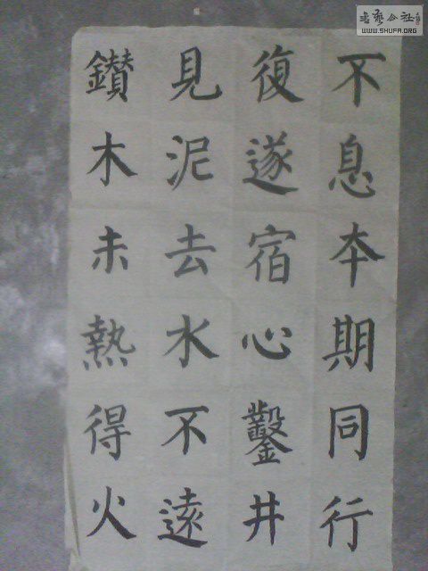 IMG0350A.jpg