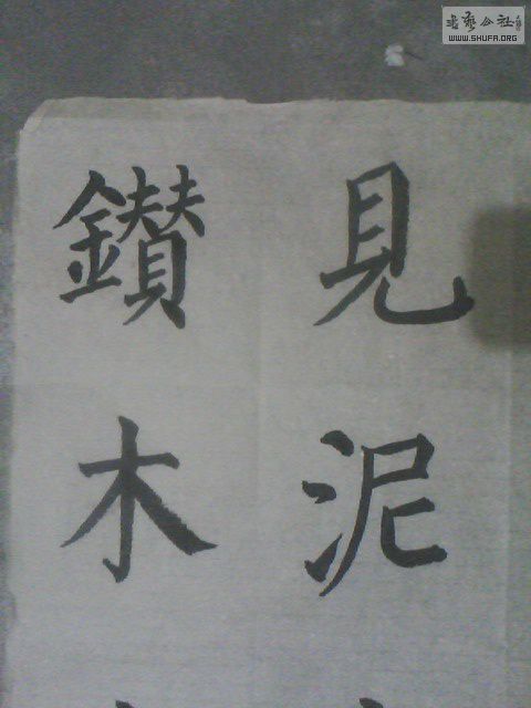 IMG0356A.jpg