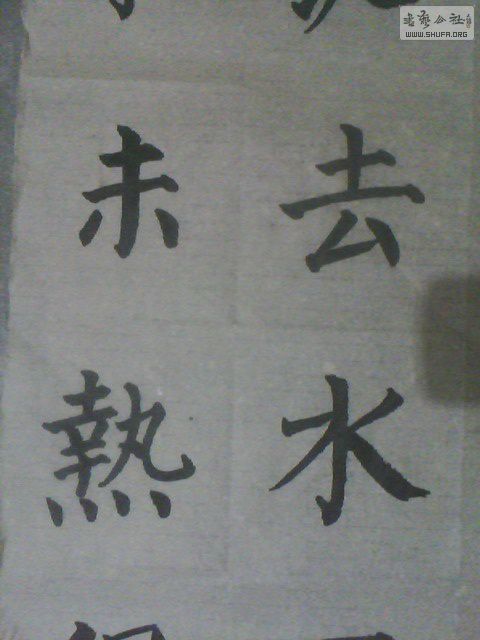 IMG0355A.jpg