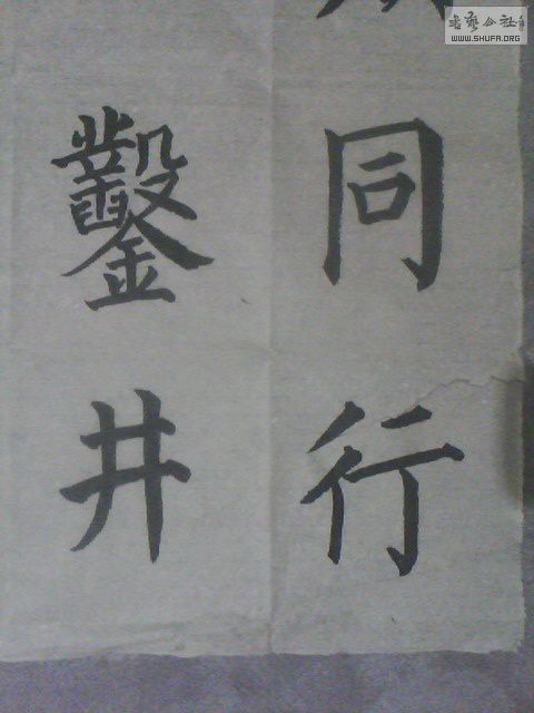 IMG0353A.jpg