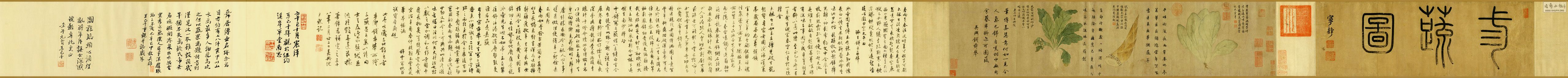 -Ǯ˴-ͼ25x.jpg