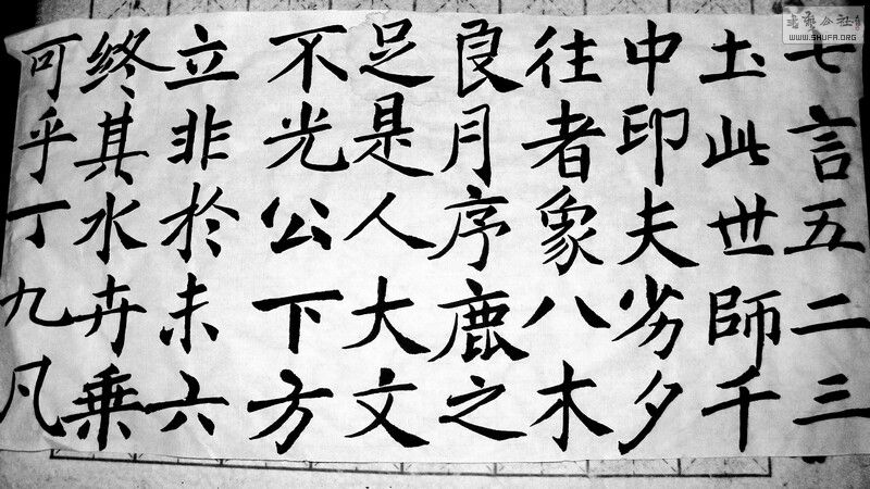 鷨3.jpg