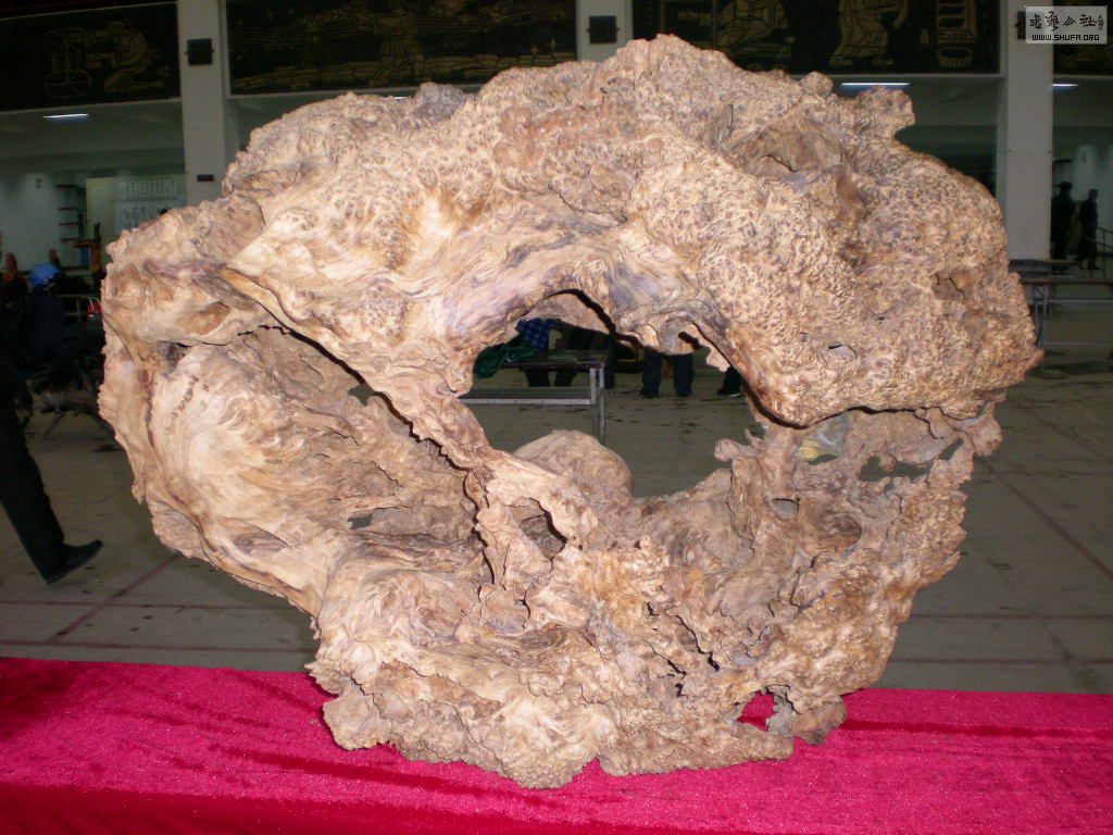 DSCN7882.JPG