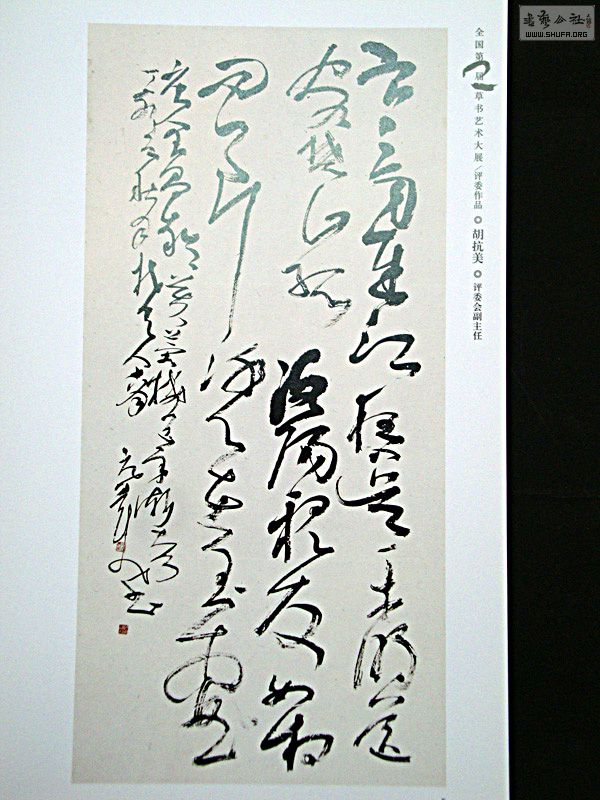 DSC05937.jpg