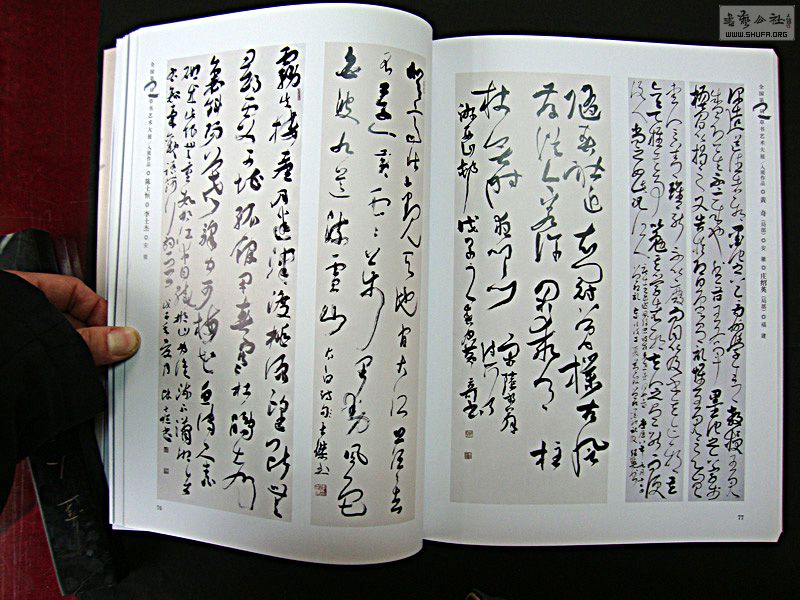 DSC05940.jpg