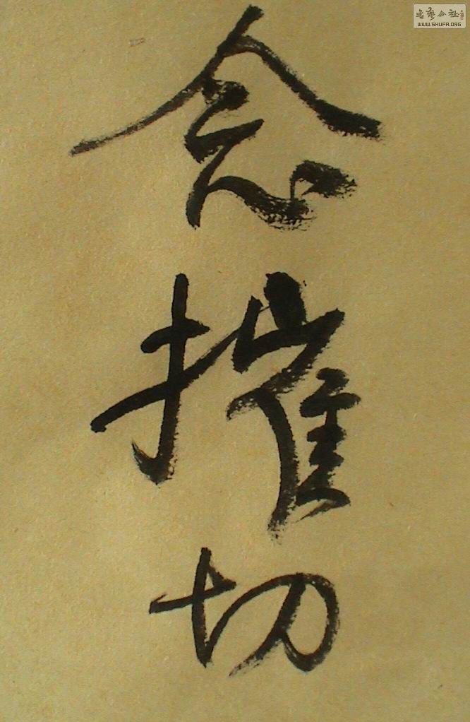 DSC01788.JPG