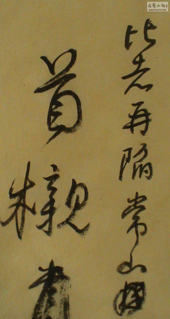DSC01791.JPG
