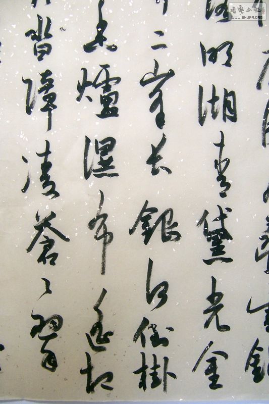 100B7300.JPG