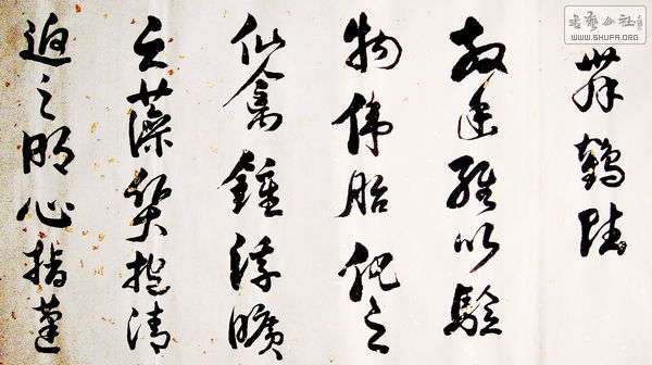 DSC09702-1.jpg