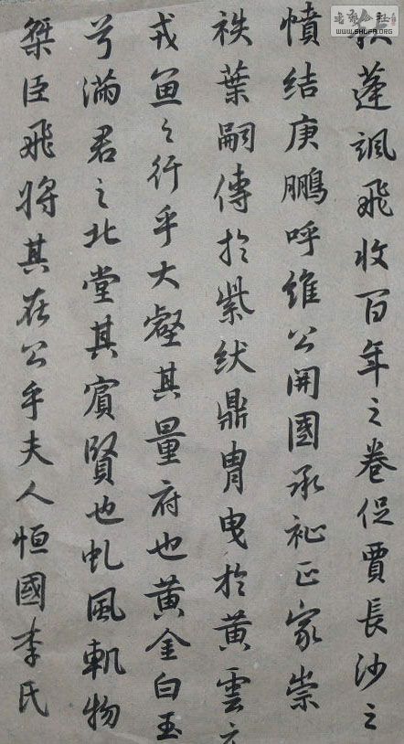 P1020290.JPG